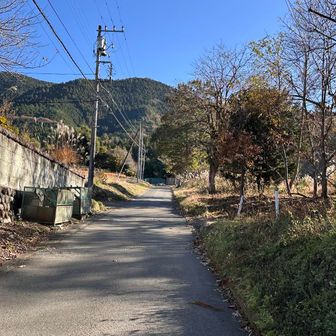 まだ車道が続きます。