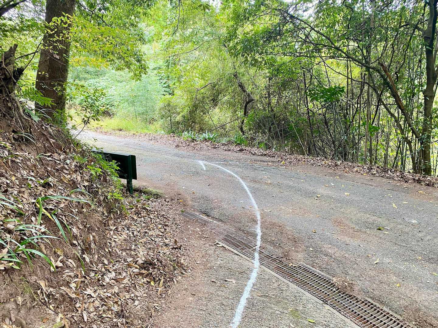 高齢者多そうだもんね
迷わないように
ありがたいね

この山ちょっと怖いかな
苦手でパタパタ降ります🚶‍♀️