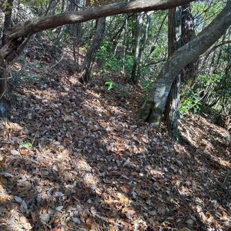 どこを歩いていいか、分からないところも幾つか