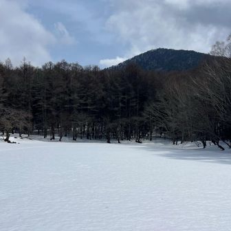 下山後ランチの計画なので鶏頂山はスキップしましたが、少し時間があるので大沼に寄りました✨
まだまだ一面真っ白❄️