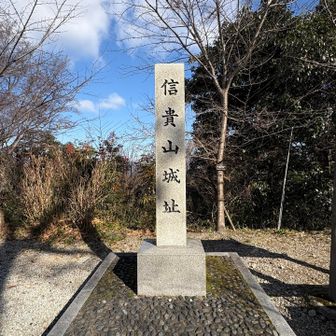 山頂そばの城跡