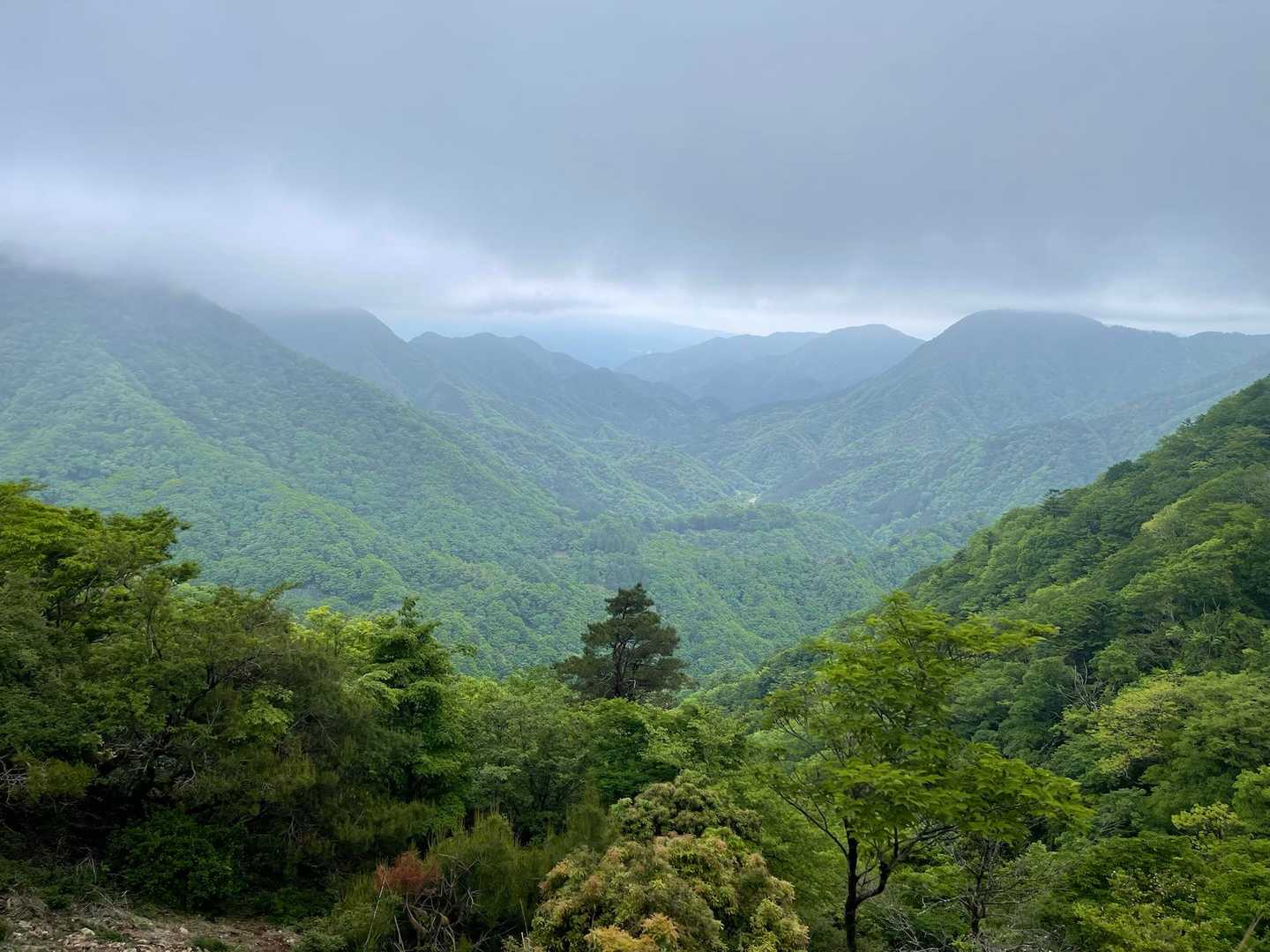 見晴らし〜✨
1番奥は、箱根の山らしい