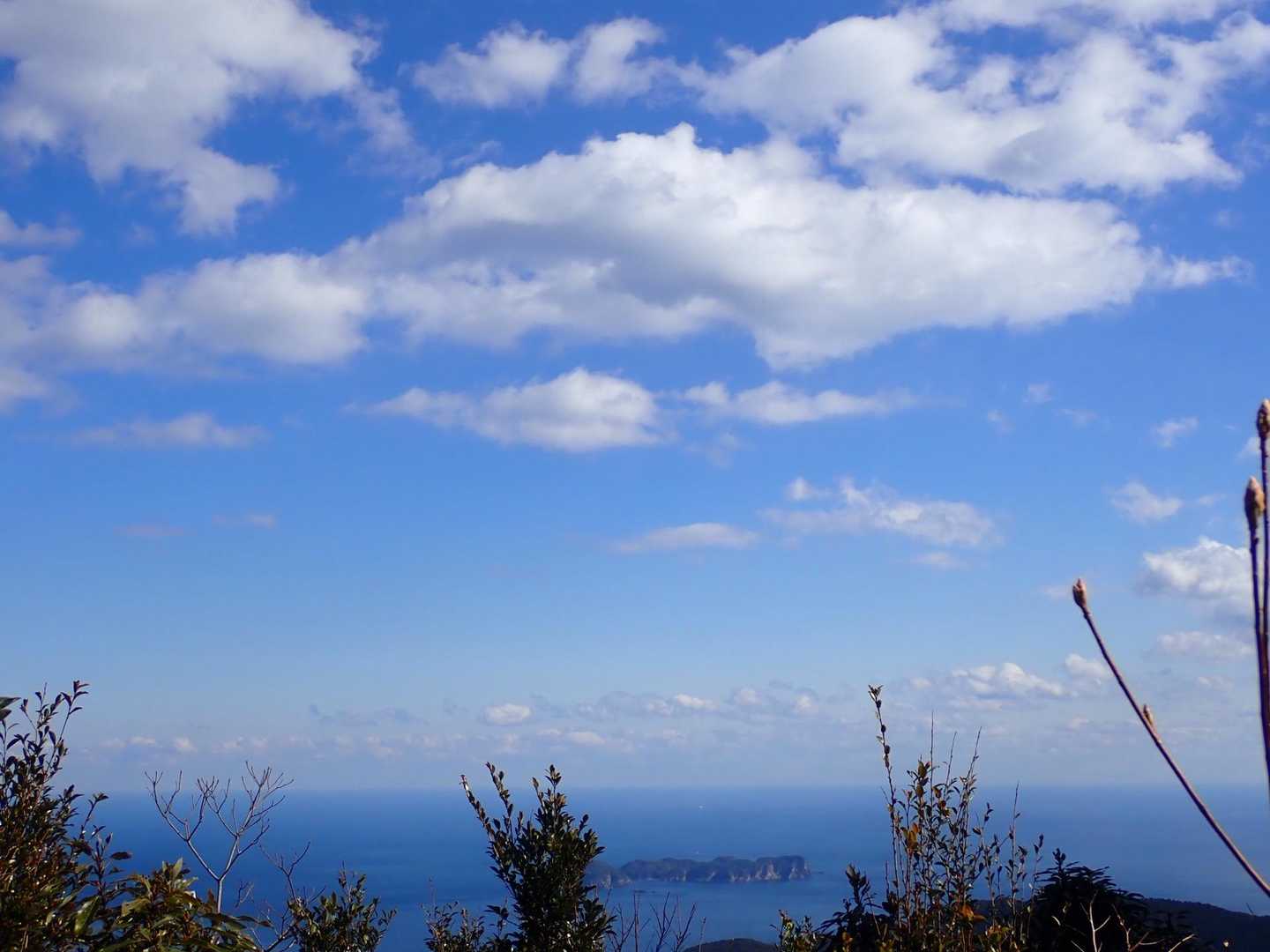 津島畑山 登山口-津島畑山 往復コースの写真
