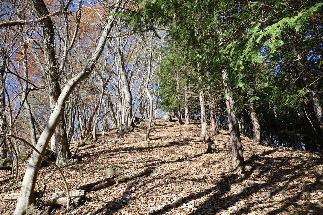 坂を登って行く