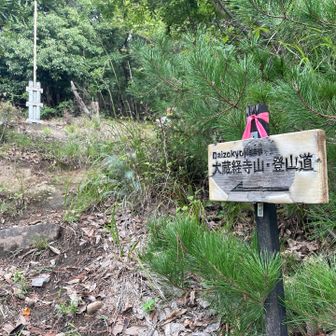 山神神社から登山道が始まります