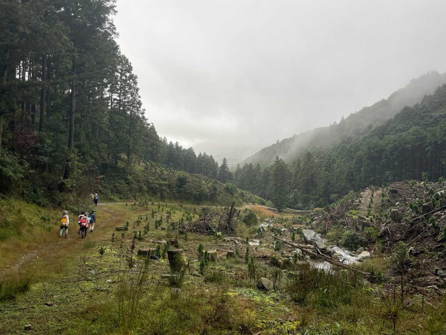 大根地山 | 背中に翼を持つ古代豪族「羽白熊鷲」のミステリアスな伝説を訪ねるの写真
