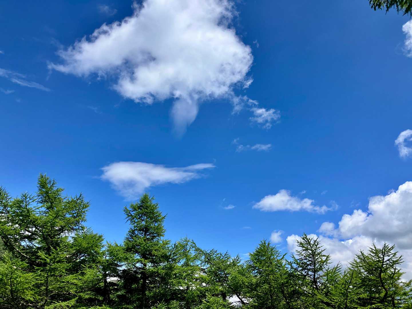 抜けるような青空！