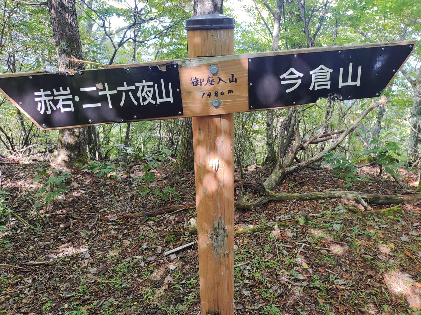 今倉山(西峰)(御座入山)
眺望なし