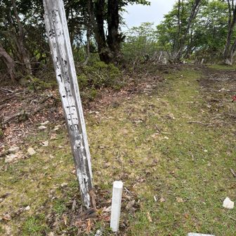 急登を登ればスグ山頂☆