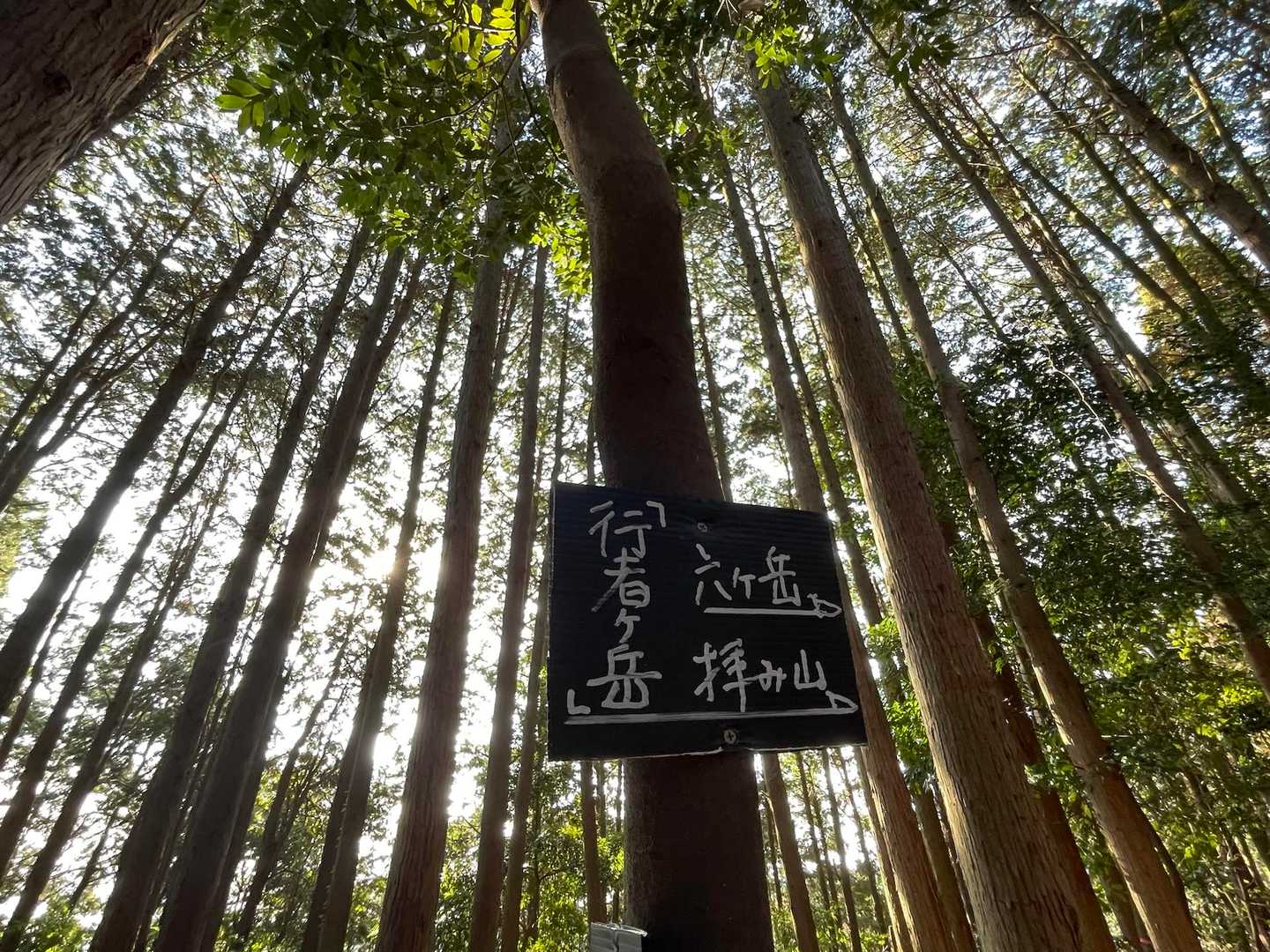 行者ヶ岳（ぎょうじゃがたけ）⛰️