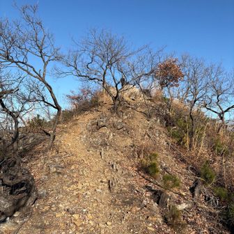 この先が小天狗👺
急登ばっかりで、昨日の疲労が溜まって、足がおかしくなりそうです🦵
