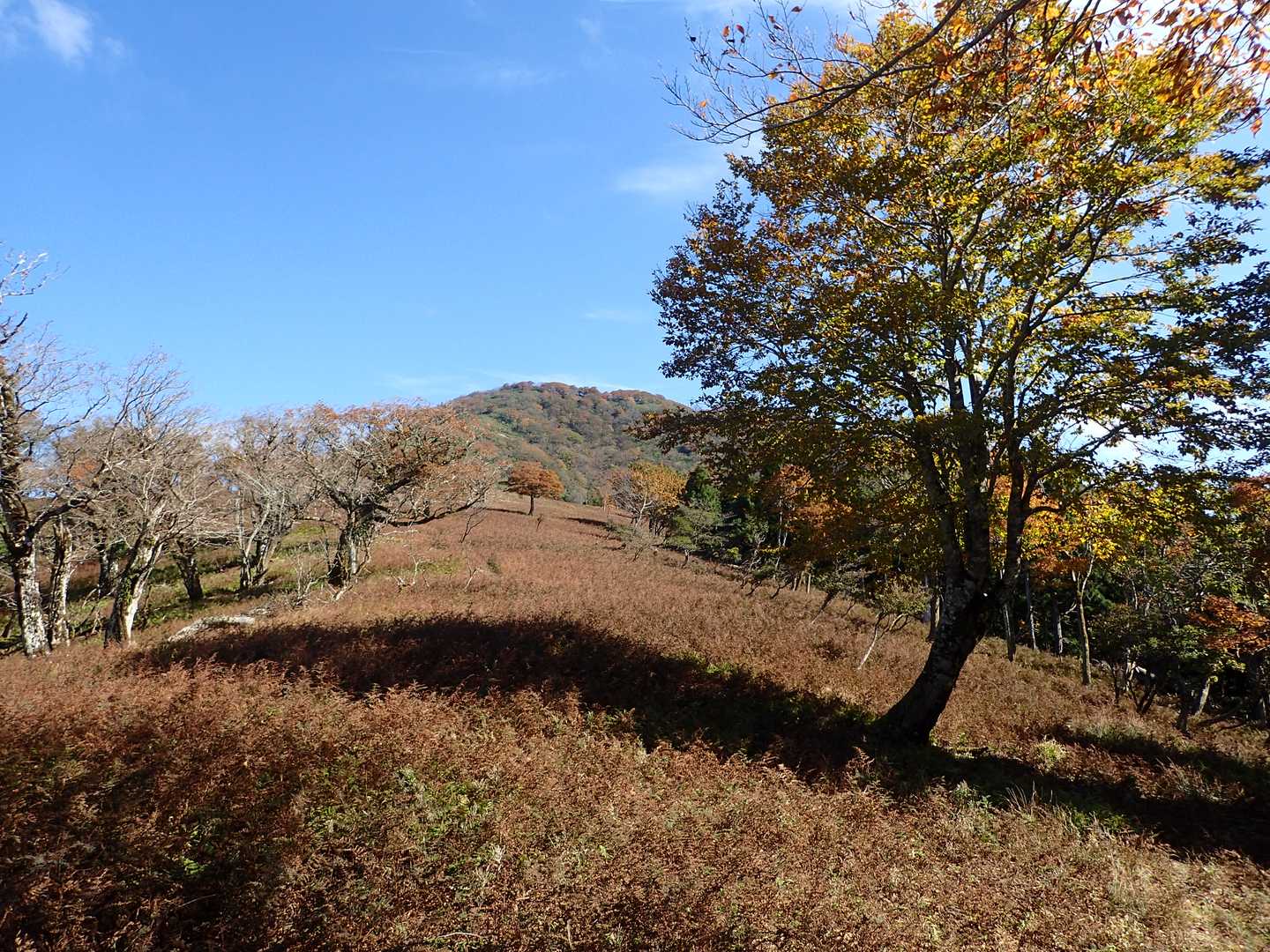 振り返って三室山