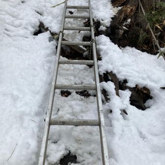 アイゼンだから引っ掛けながら...
剣山では何段もあるね🪜