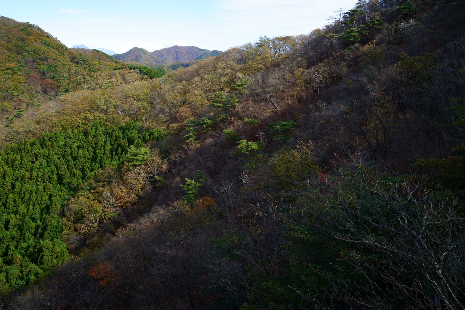 鳴神山の北西側斜面。
奥左側にうっすら男体山。
