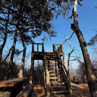2座目の赤沢富士着！
お～展望台！
でも山名板らしきものは見当たらん。
