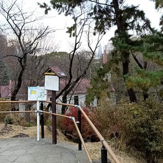 景観は天気のせいもありイマイチ..
ドコモタワーはほんとどこからでも見えますね笑