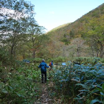 登山口に戻って来ました