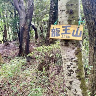 龍王山到着…7座目。眺望無し
ここから河内磐船駅迄下山します。