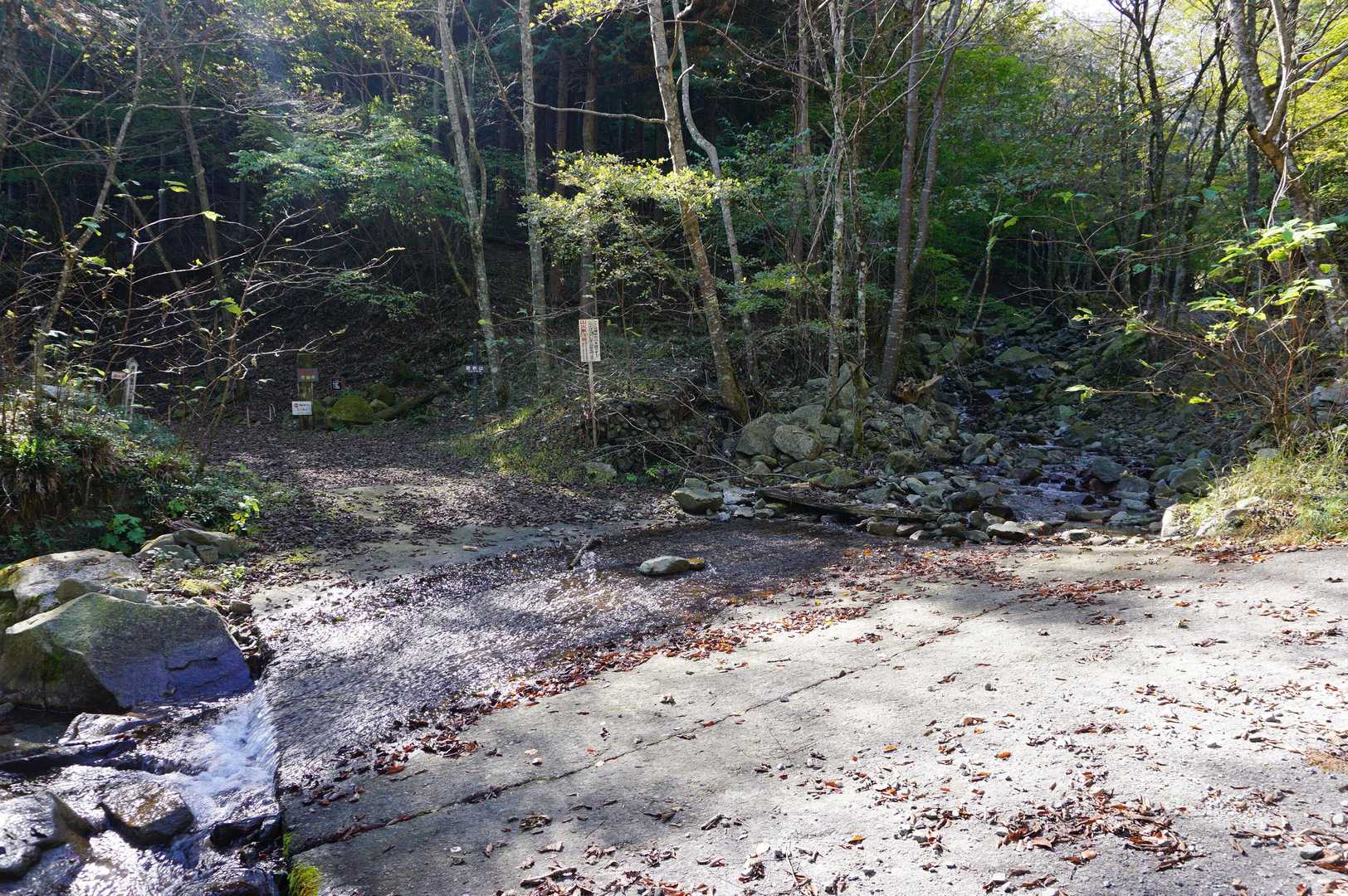 林道から登山道へ。このまま真っ直ぐ沢に進みピンクリボンに沿って稜線まで。
