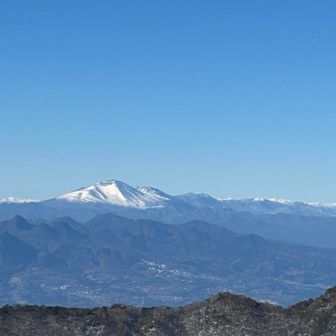 こちらを眺めながら休憩☕️