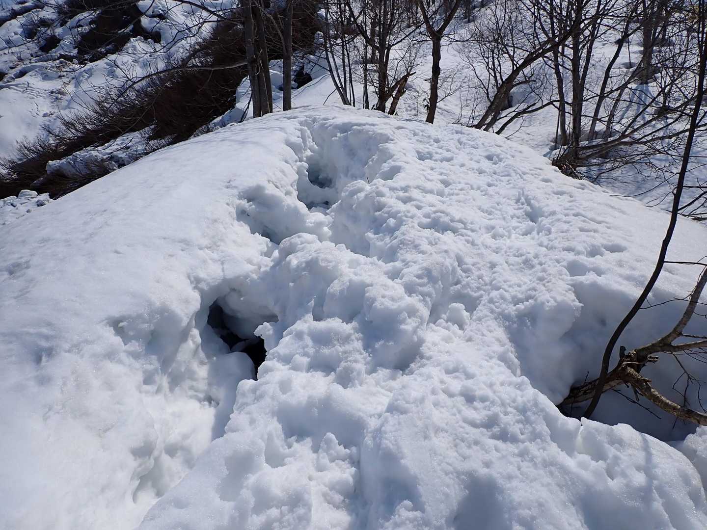 とはいえ、雪はとけ始めこんな所も😱