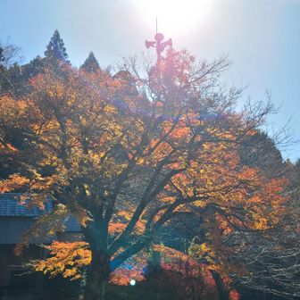 本日も、ありがとうございました🗻