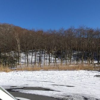 湖畔に近く
昼後に撮影