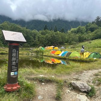 昼頃には色とりどりのテント⛺️