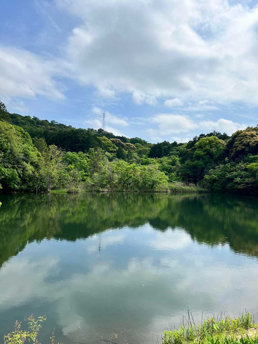 京ヶ峯 周回コースの写真