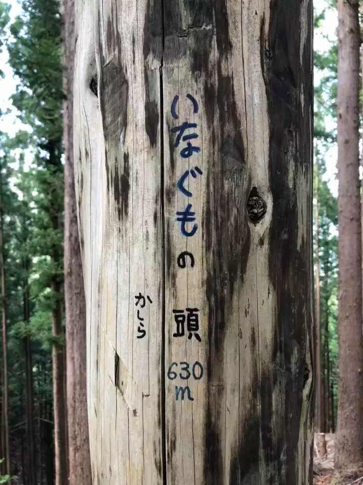 中ノ沢ノ頭（イモグナの頭）の写真