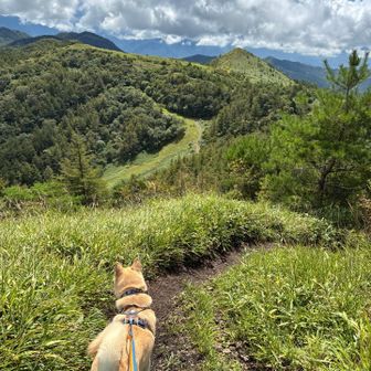飯盛山が、遠くに見える