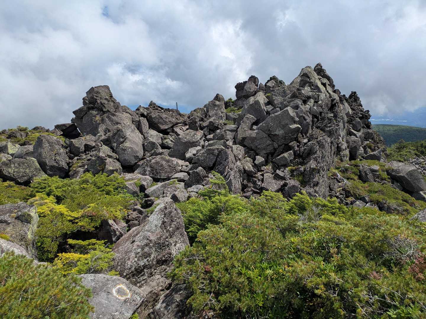 ⭕️を探して進むよ