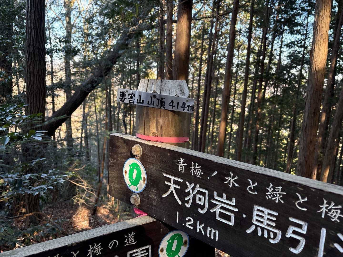 要害山山頂　
