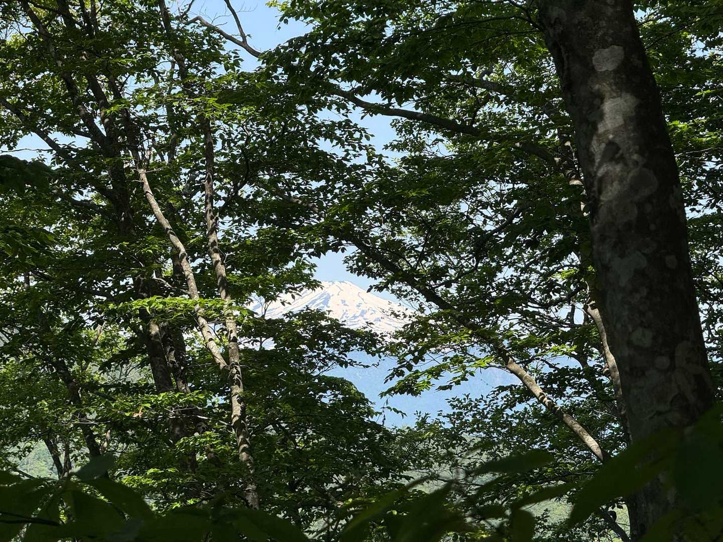 鳥海山が見えてきました