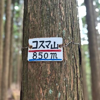 コスマ山🙌