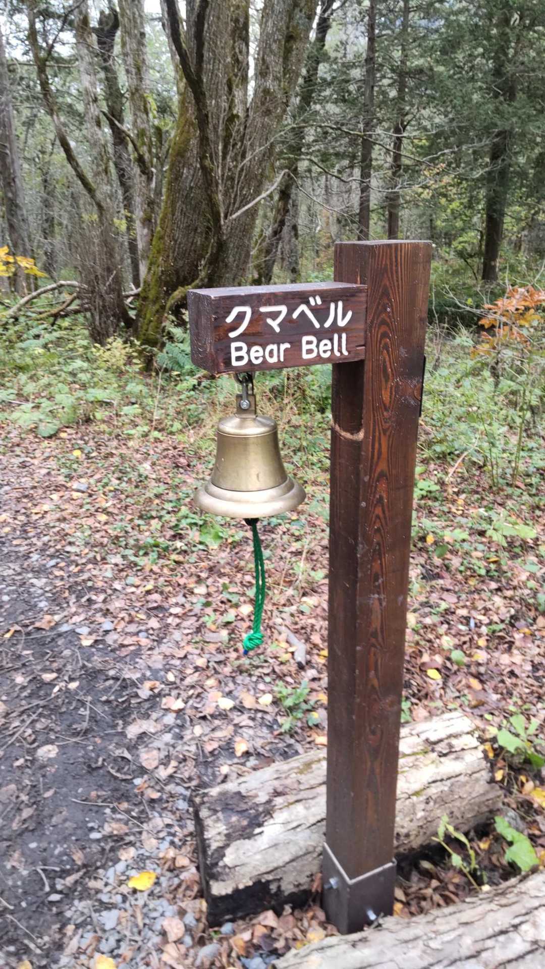 鳴らすのは私だけ😅