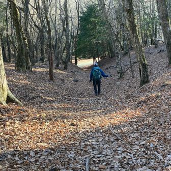 北風の尾根を外れ、また標高が下がったこともあって、今日初めて背中がほんのり温まった☺️