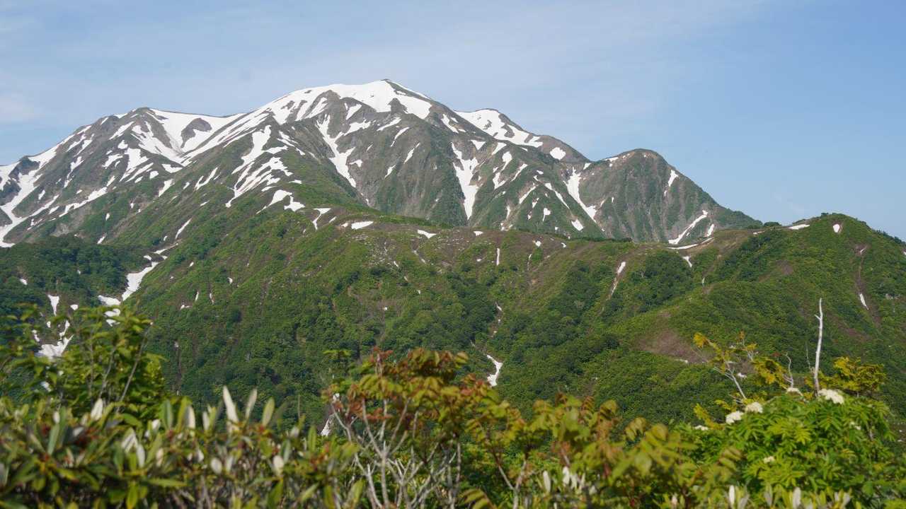 石抱橋バス停-道行山-百草ノ池-越後駒ヶ岳 往復コースの地図・登山ルート・登山口情報 | YAMAP / ヤマップ