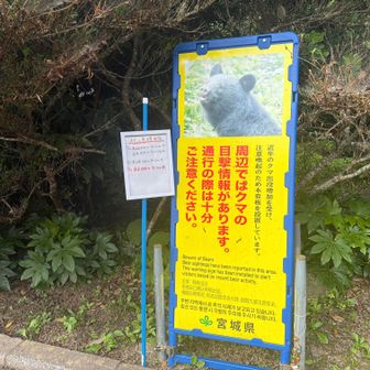 クマにも注意しながら来ました。　