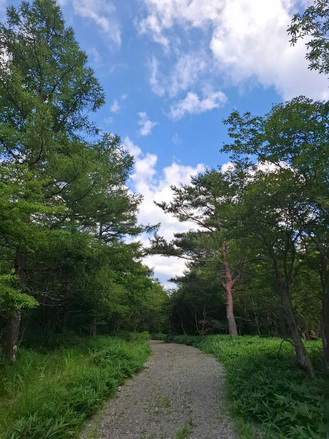 トレイルも格別🚶