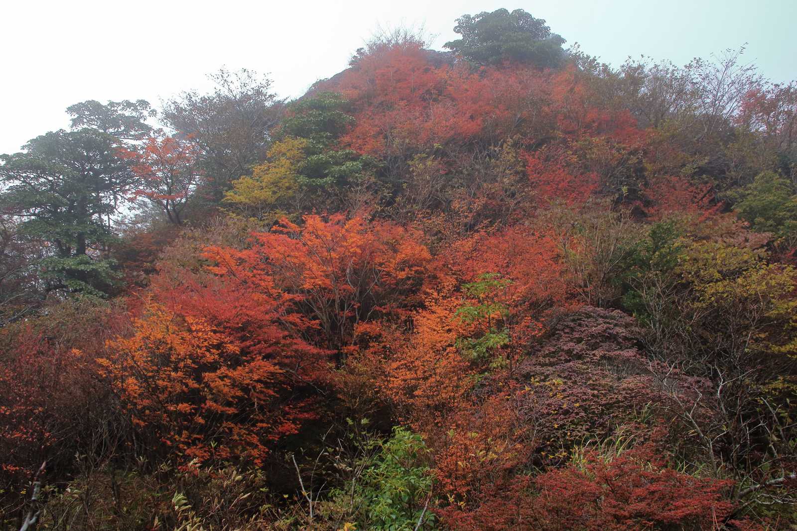 国見岳-普賢岳 往復コースの写真