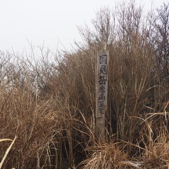 何も見えなかったけど晴れてたらいい景色らしいです