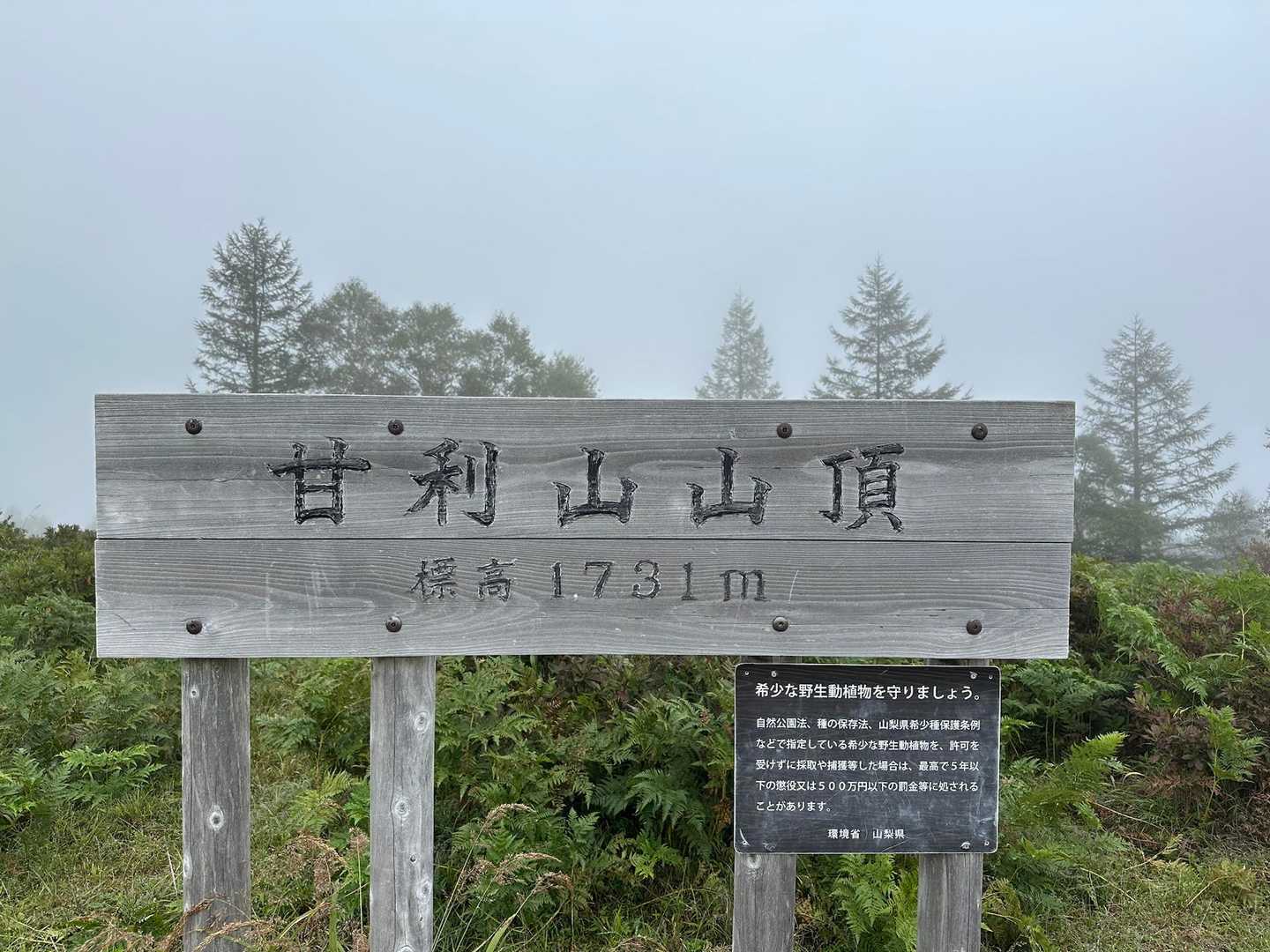 甘利山登山口-甘利山-南甘利山 往復コースの写真