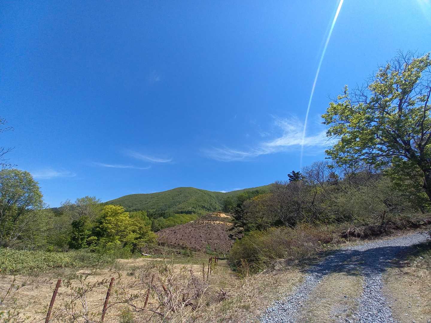 東岳登山口-東岳 往復コースの写真