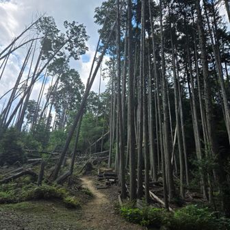 ここまできたら山頂はもうすぐ