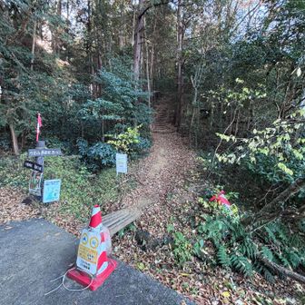 山道が始まります。
この階段、ちょっと急です。