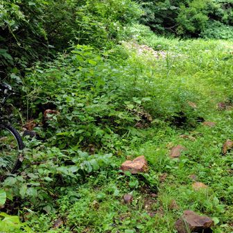 自転車2台: 擦れ違かった登山者が長い林道で使ったのだろうか