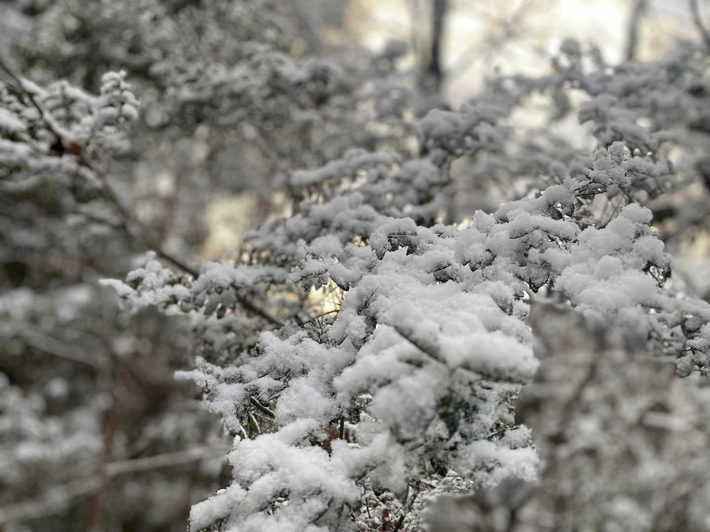 ☃️