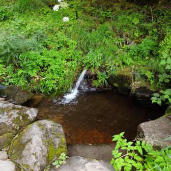 夏沢鉱泉の湧水