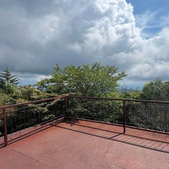 展望台から、木が成長しているのか眺望は良くないです（天気も…）